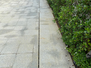 Image-20240830-104315-98466672