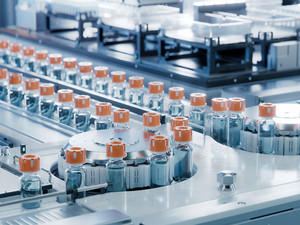 Shutterstock 2422913535