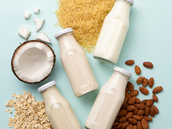 Shutterstock 2473628127