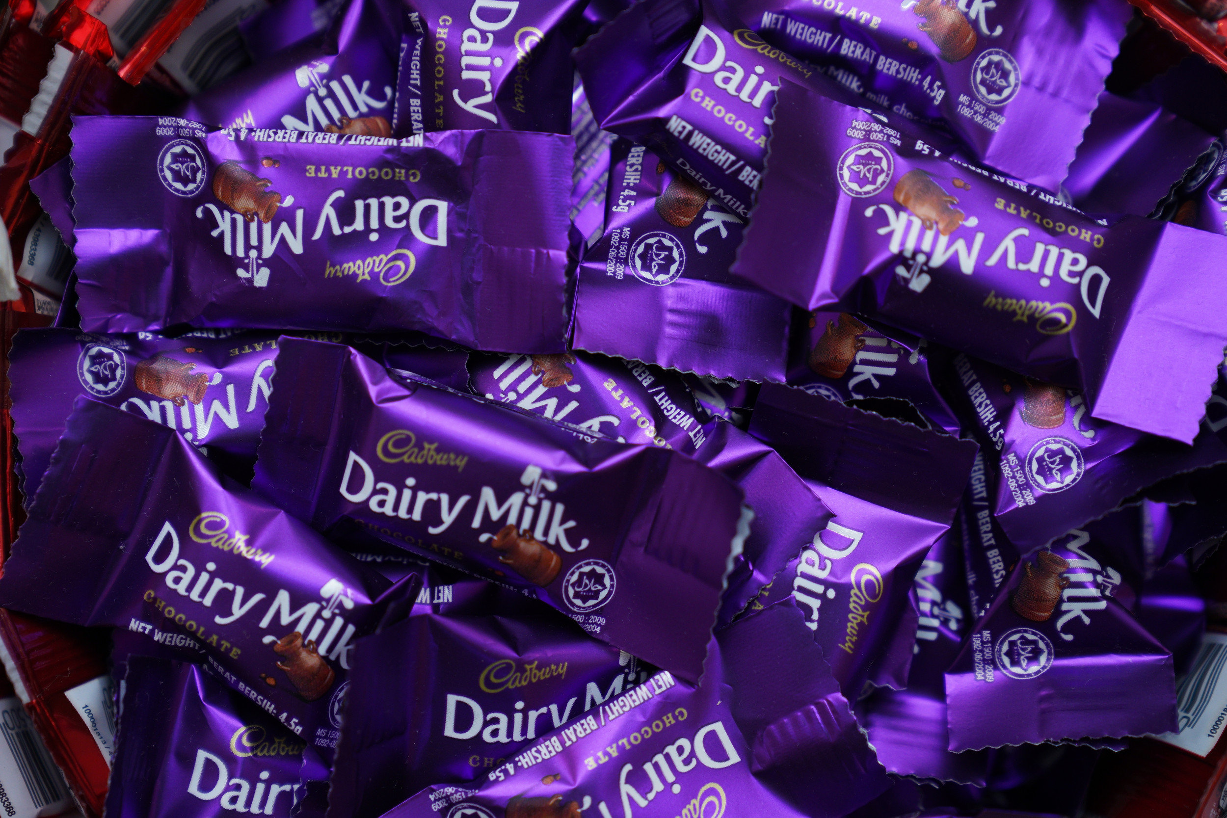 Shutterstock 2249246377